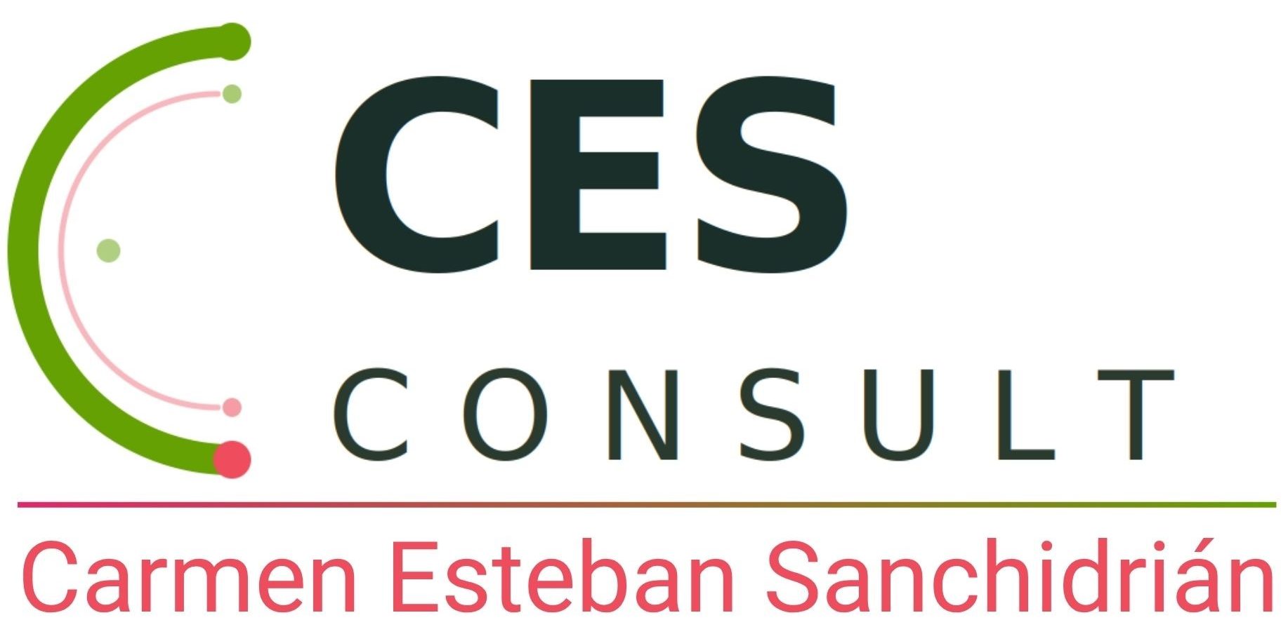 CES Consult